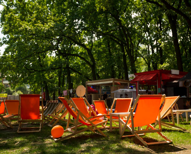 Deckchairs in a sunny garden
